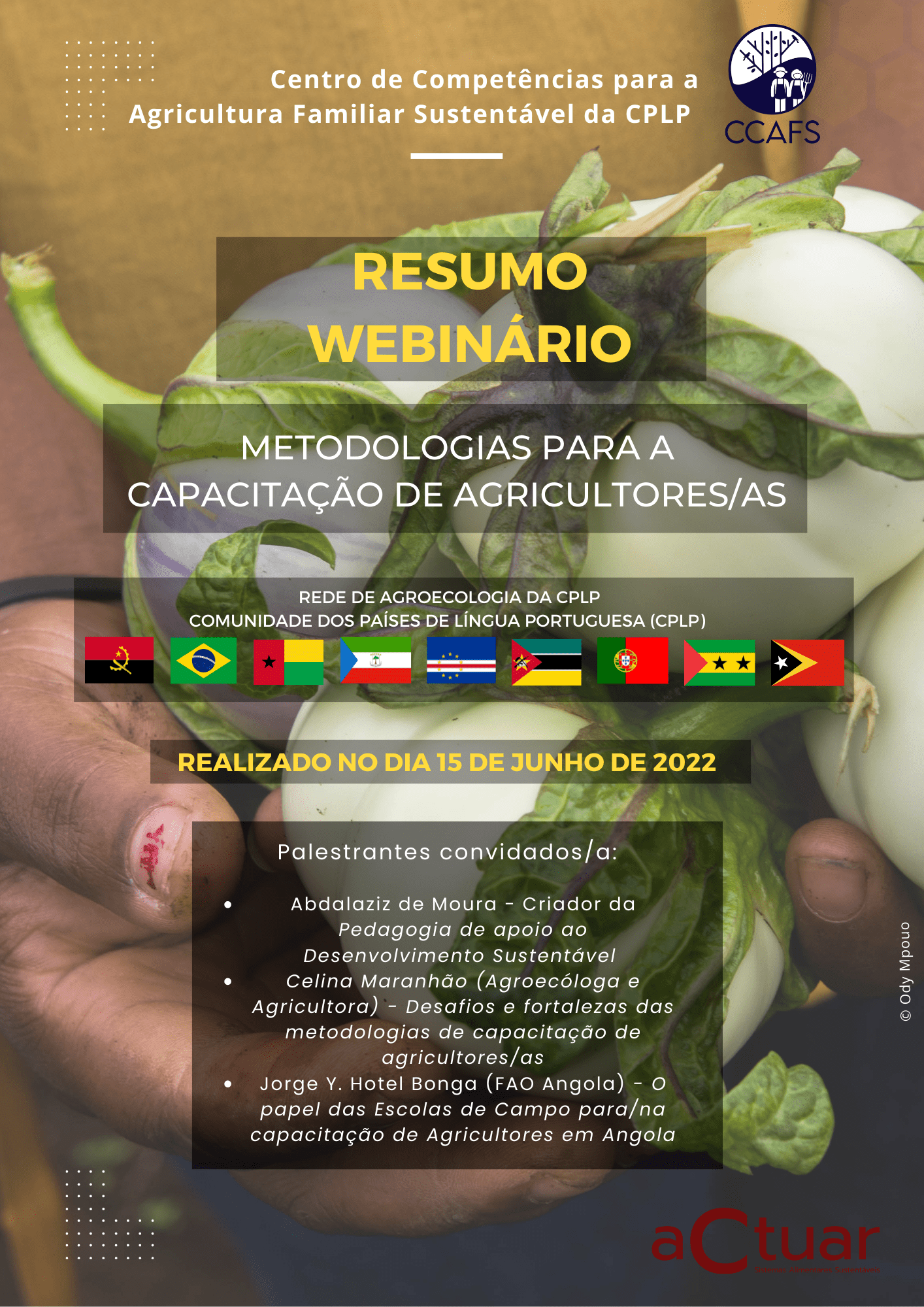 Resumo webinário 2 1