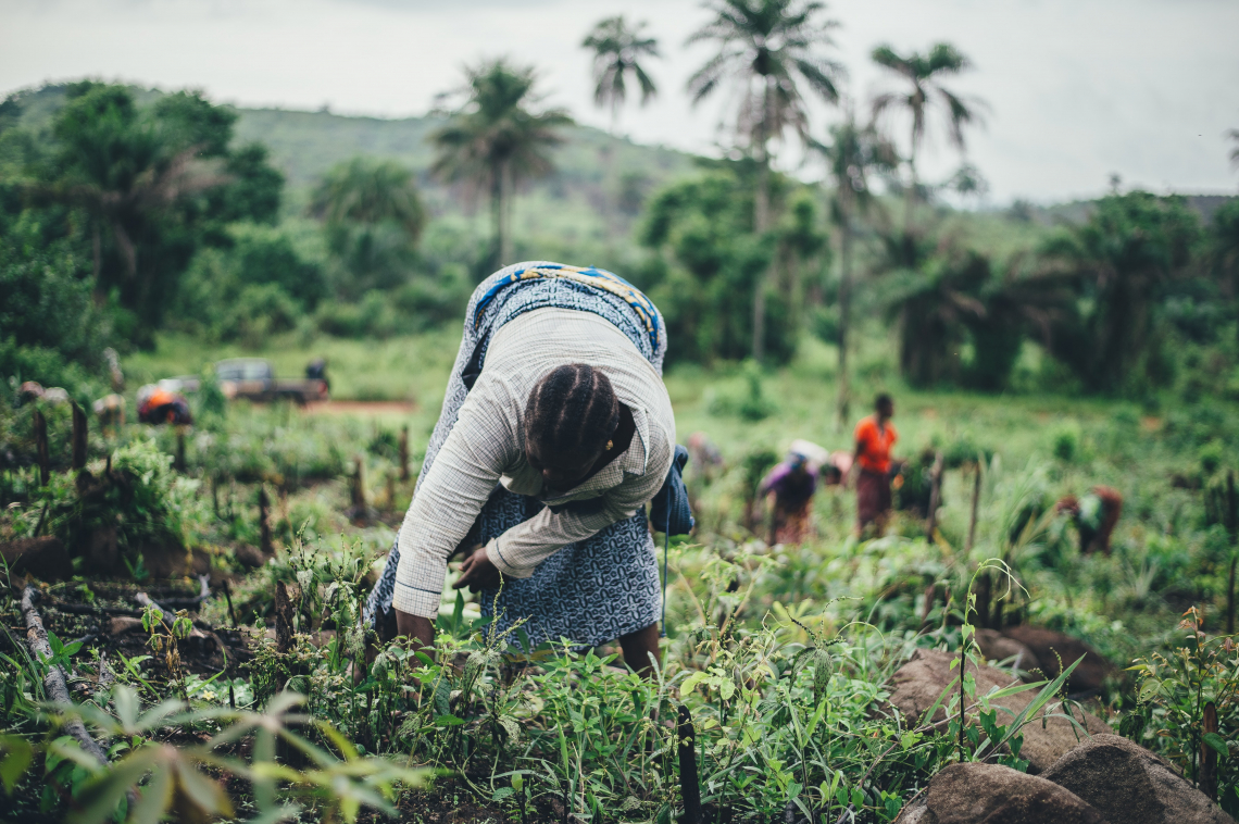 Formação de Formadores: Introdução à Agroecologia